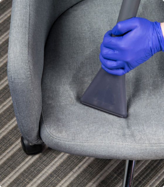 Limpieza de tapizados ¿Qué debes saber para hacerla correctamente?